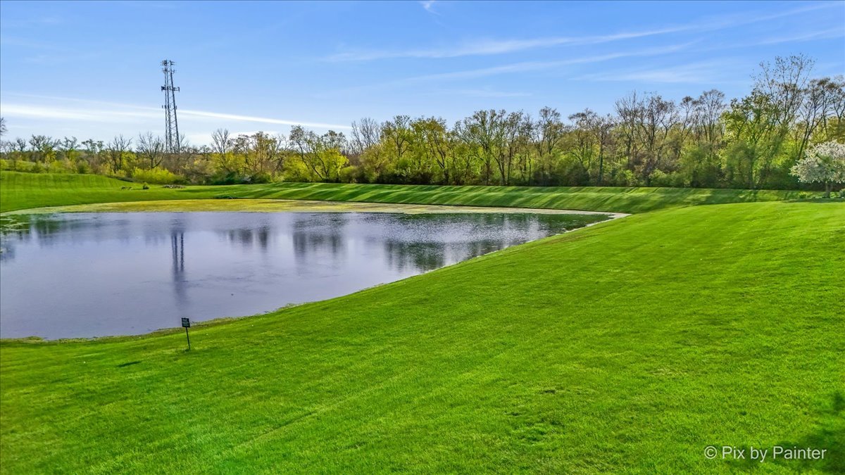 8219 Squirrel Drive Spring Grove, IL 60081 - Photo 22 of 29