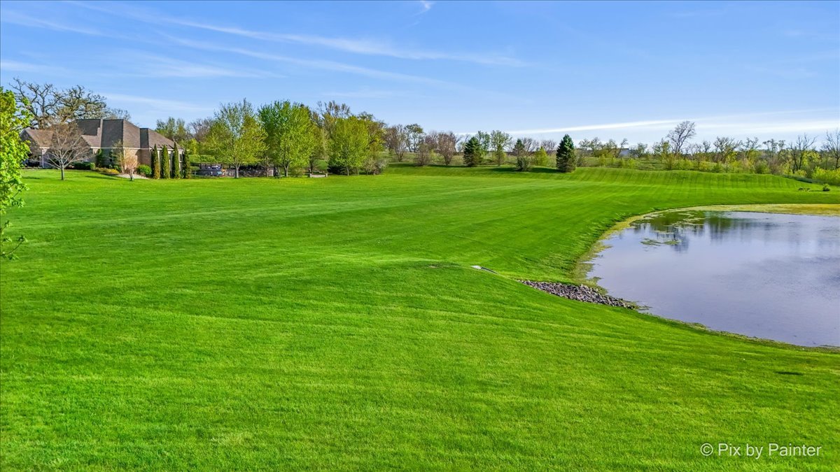 8219 Squirrel Drive Spring Grove, IL 60081 - Photo 23 of 29