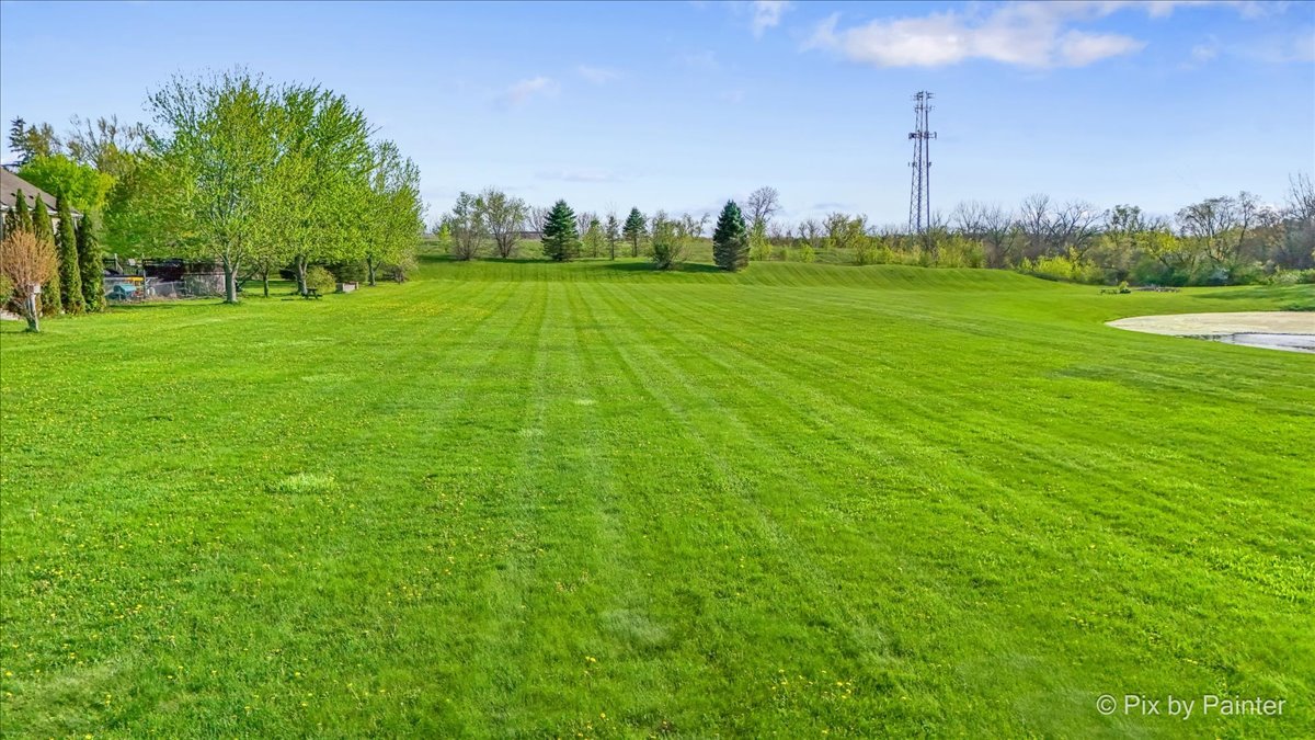 8219 Squirrel Drive Spring Grove, IL 60081 - Photo 25 of 29