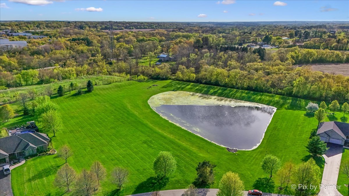 8219 Squirrel Drive Spring Grove, IL 60081 - Photo 3 of 29