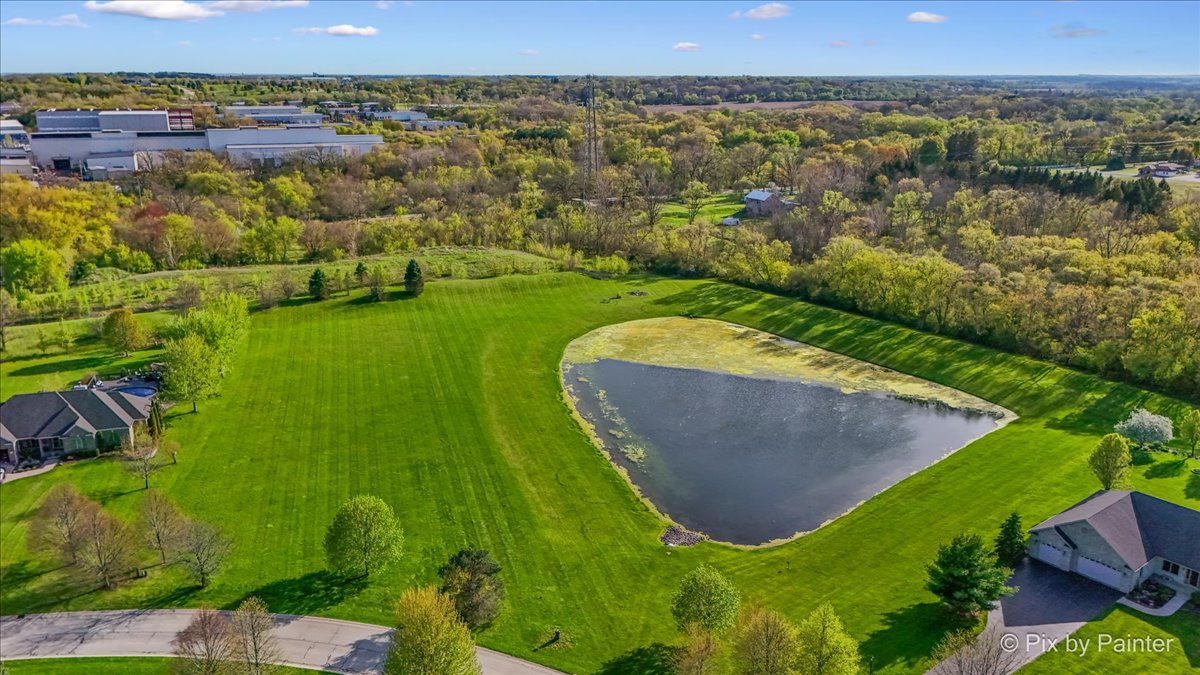 8219 Squirrel Drive Spring Grove, IL 60081 - Photo 4 of 29