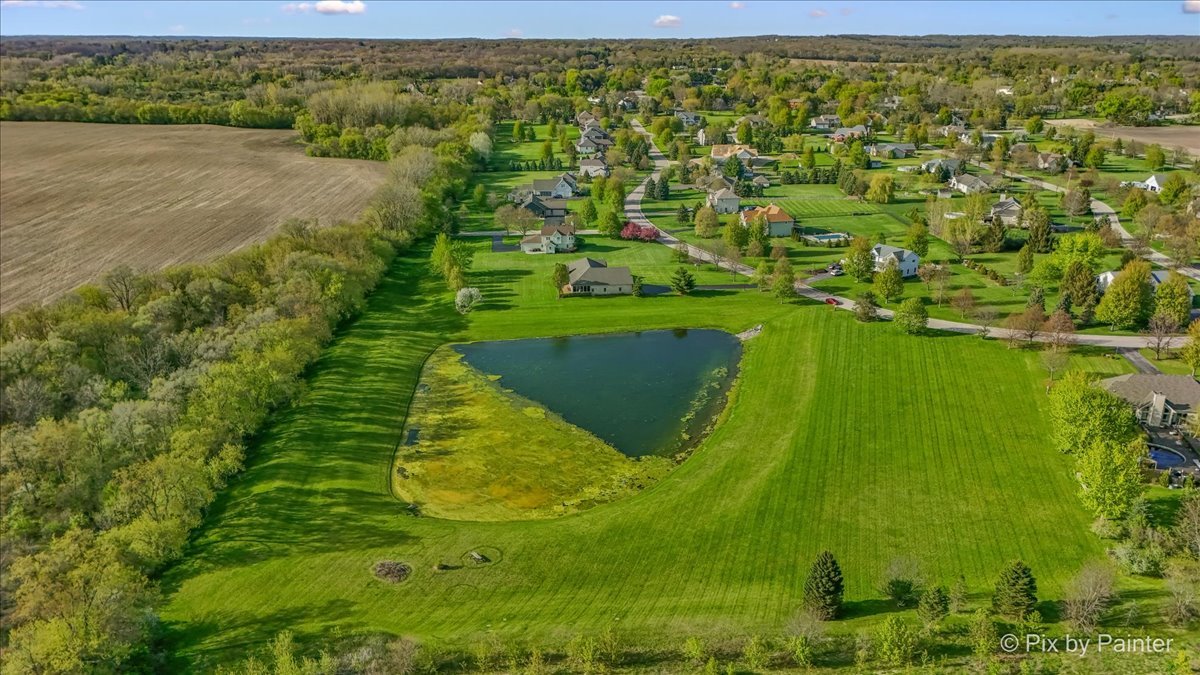 8219 Squirrel Drive Spring Grove, IL 60081 - Photo 8 of 29