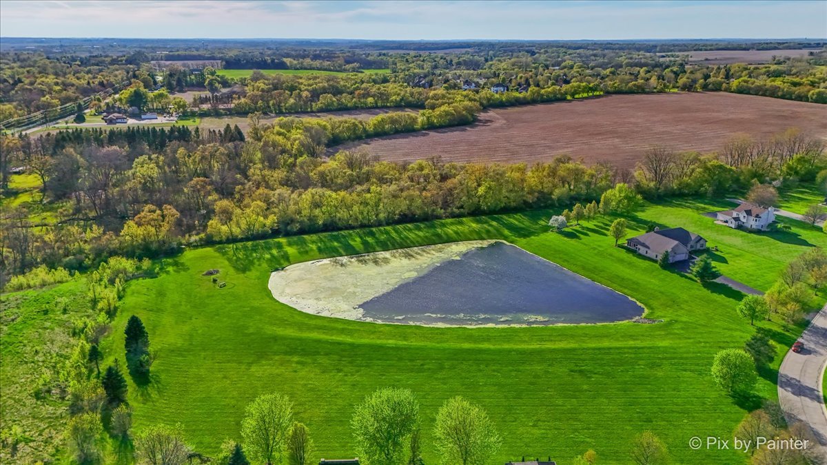 8219 Squirrel Drive Spring Grove, IL 60081 - Photo 9 of 29