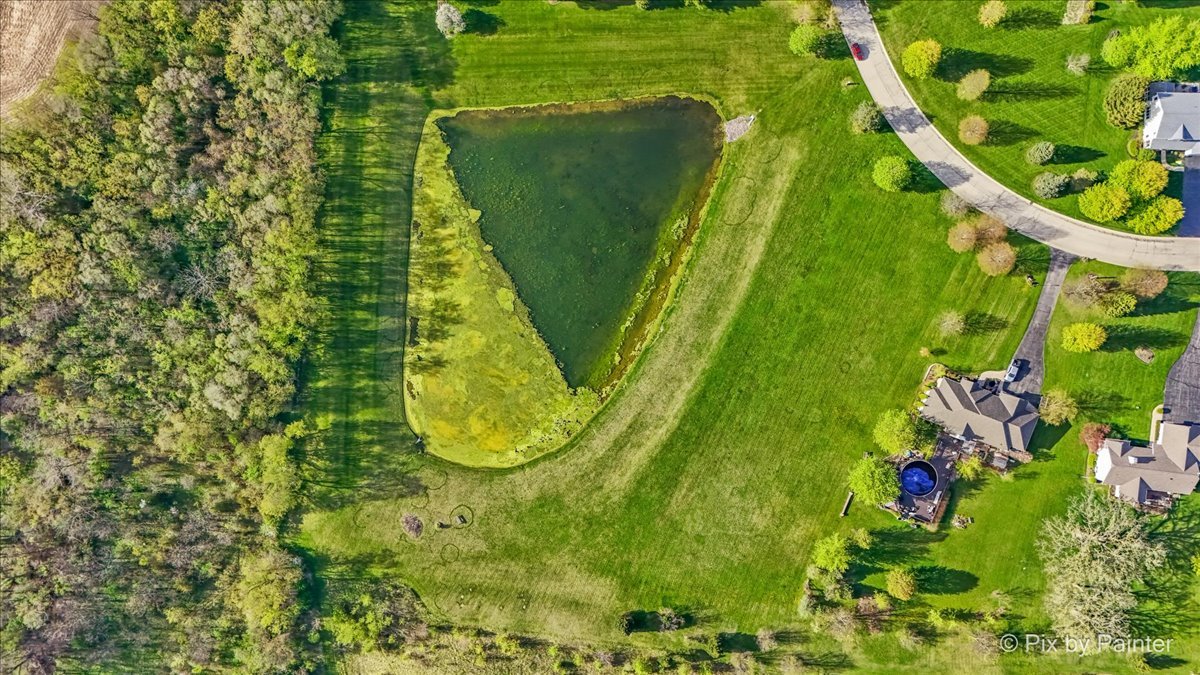 8219 Squirrel Drive Spring Grove, IL 60081 - Photo 10 of 29