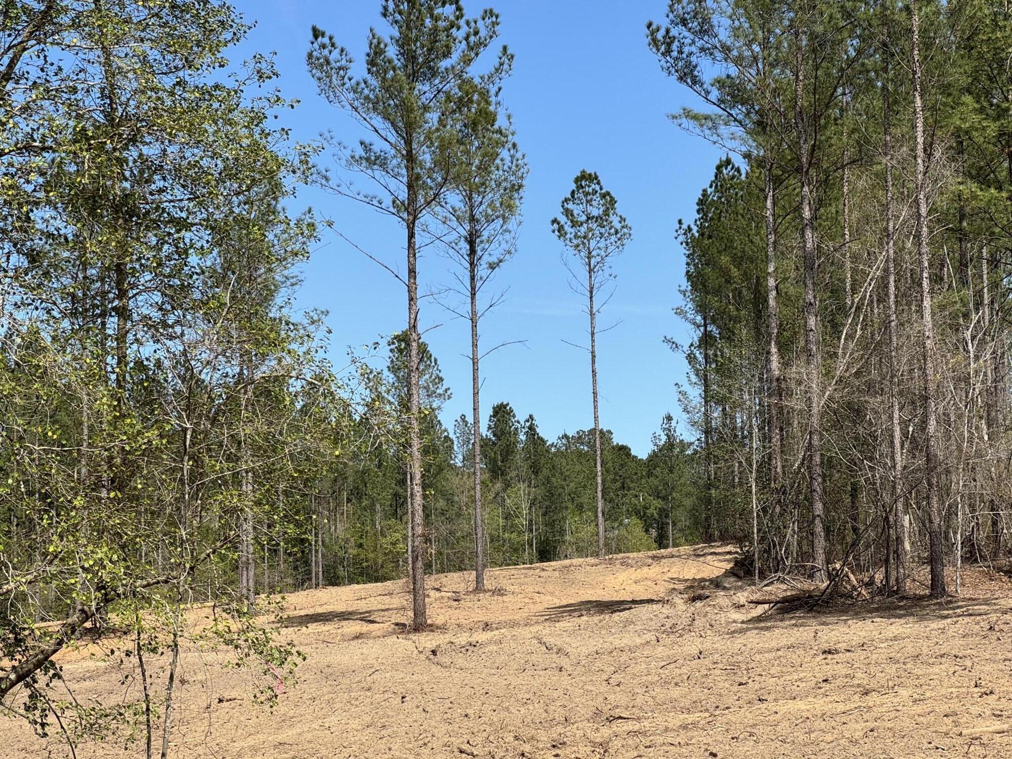 Tbd Wrights Mill Road Aiken, SC 29801 - Photo 1 of 1 Gallery Image 1