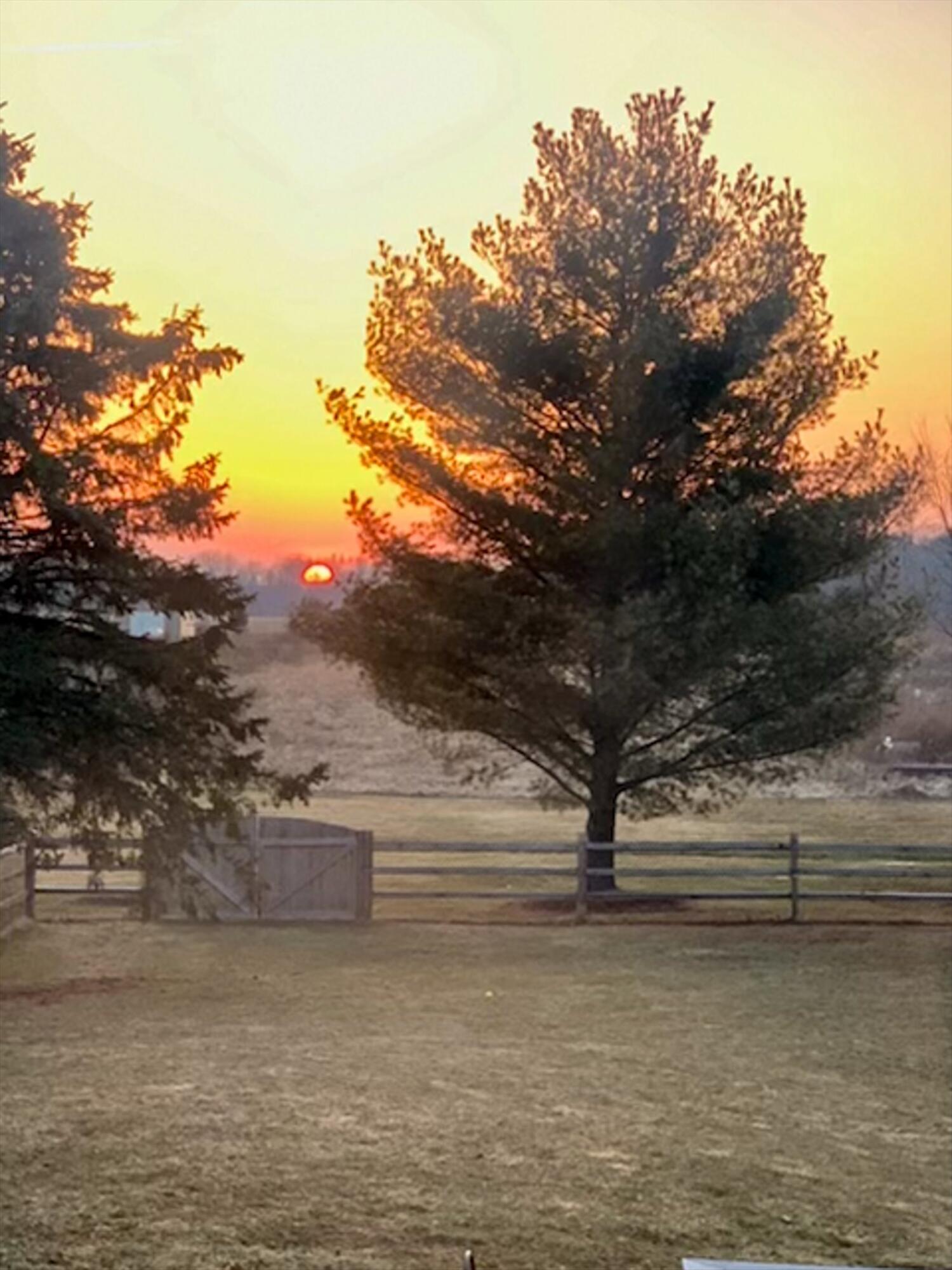 12800 South Wright Road Eagle, MI 48822 - Photo 55 of 58 55-12800 S Wright Rd Eagle-Windowstill