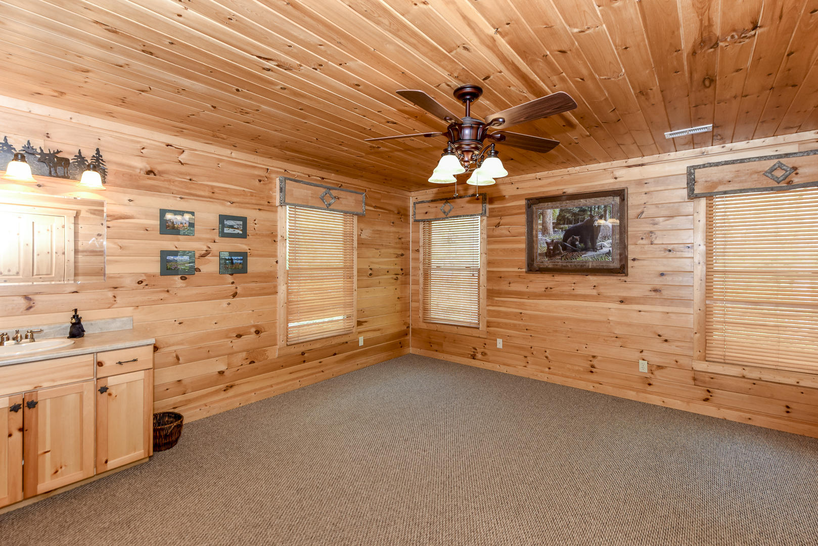 223 Long Branch Road Townsend, TN 37882 - Photo 26 of 37 _DSC8609