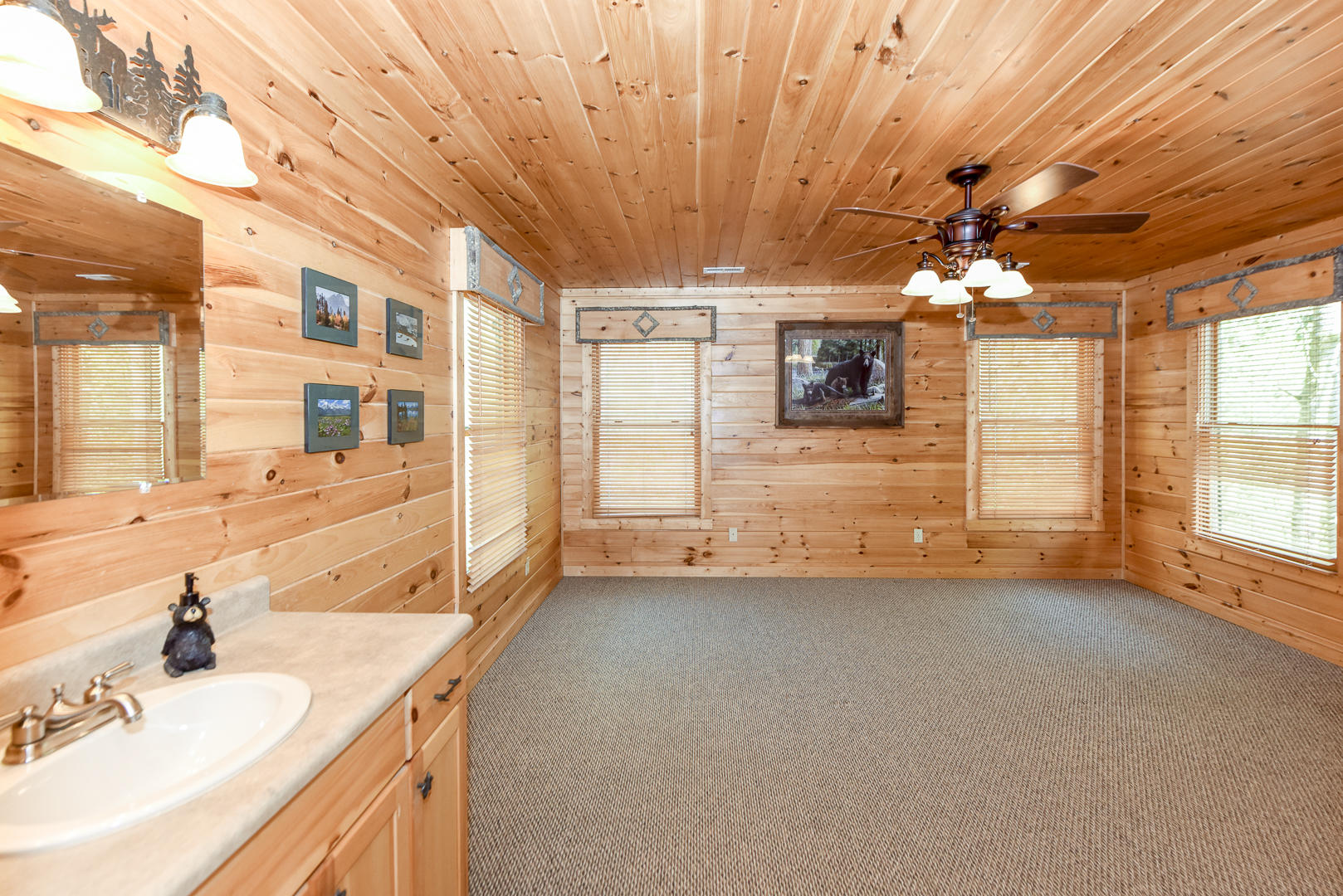 223 Long Branch Road Townsend, TN 37882 - Photo 27 of 37 _DSC8610