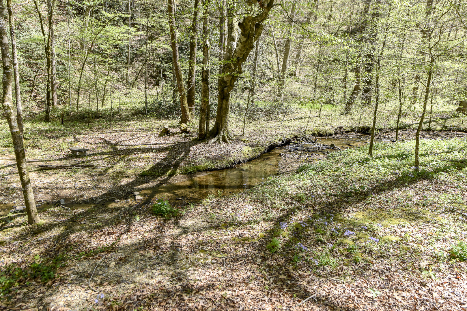 223 Long Branch Road Townsend, TN 37882 - Photo 5 of 37 _DSC8558