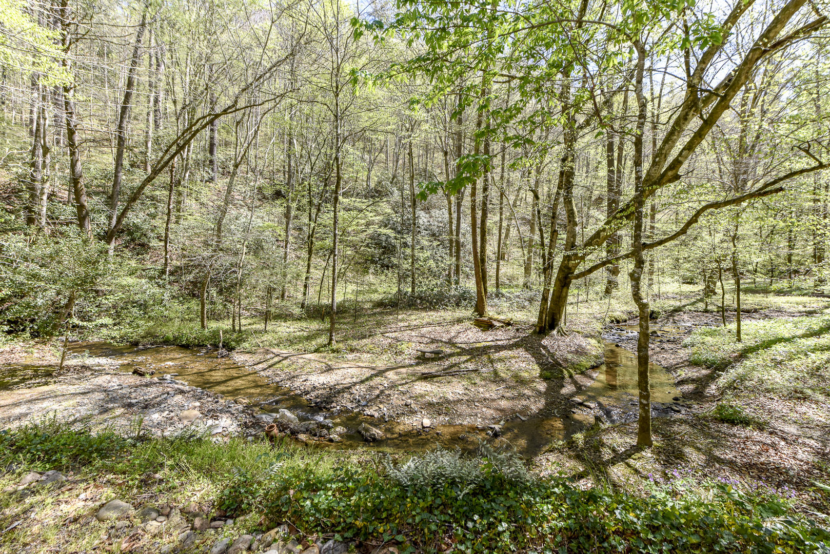 223 Long Branch Road Townsend, TN 37882 - Photo 6 of 37 _DSC8559
