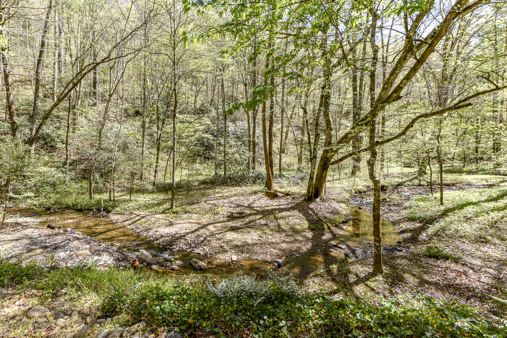 223 Long Branch Road Townsend, TN 37882 - Photo 7 of 37 _DSC8560