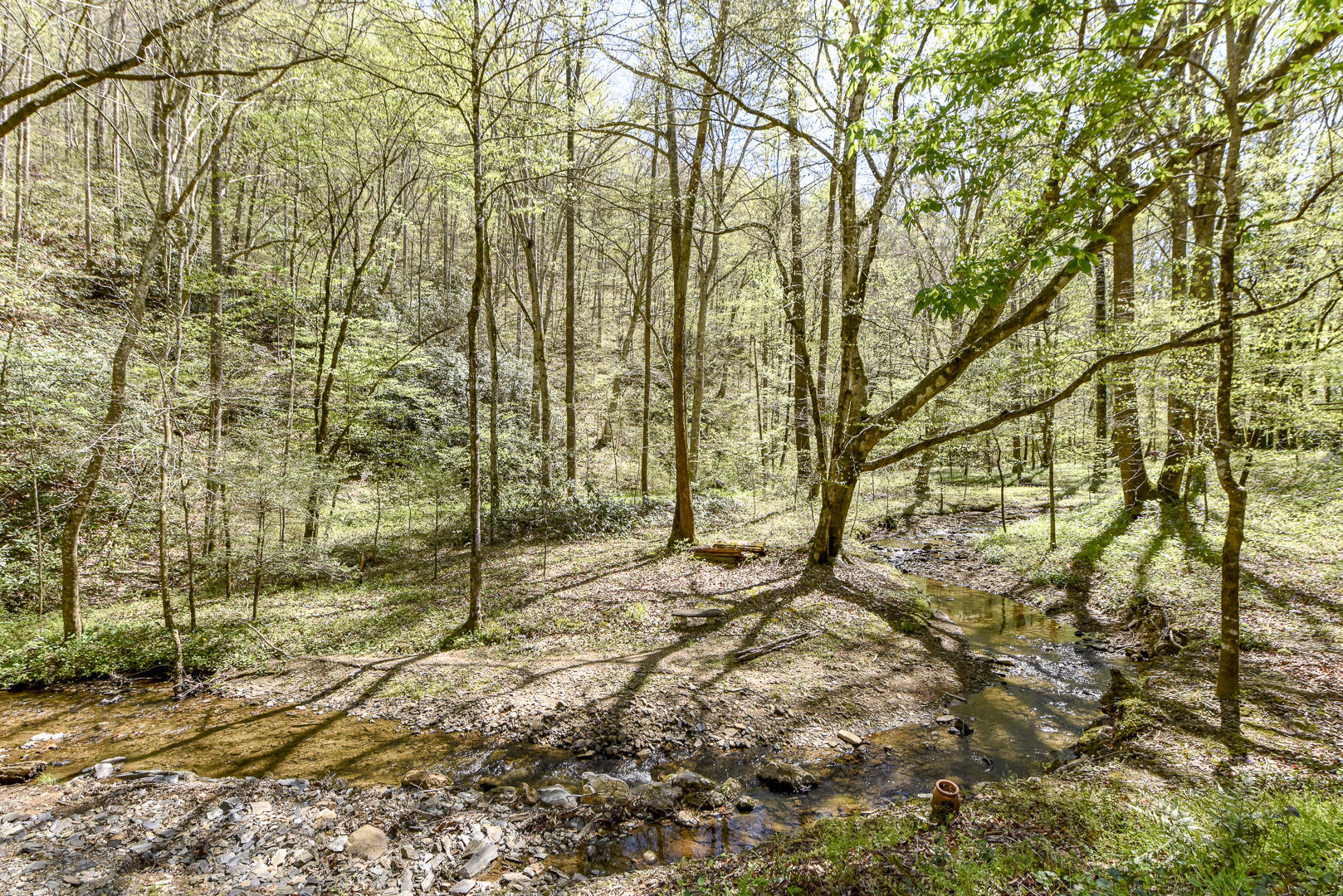 223 Long Branch Road Townsend, TN 37882 - Photo 8 of 37 _DSC8561