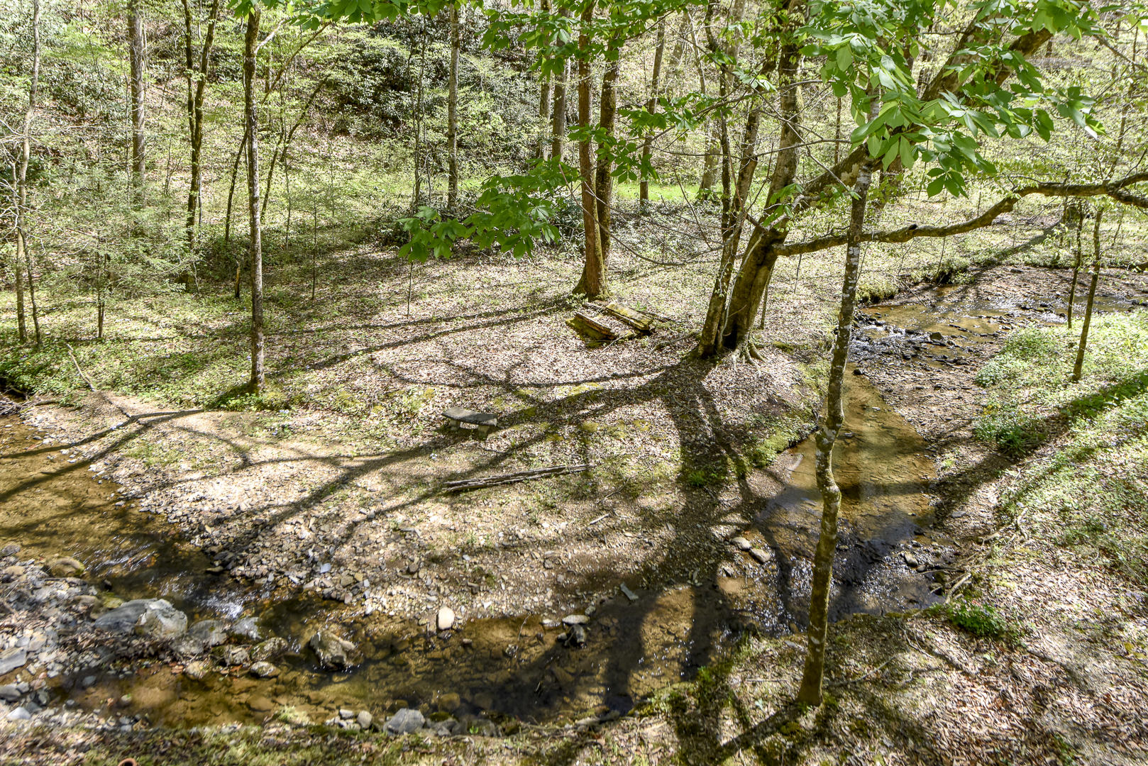 223 Long Branch Road Townsend, TN 37882 - Photo 9 of 37 _DSC8566