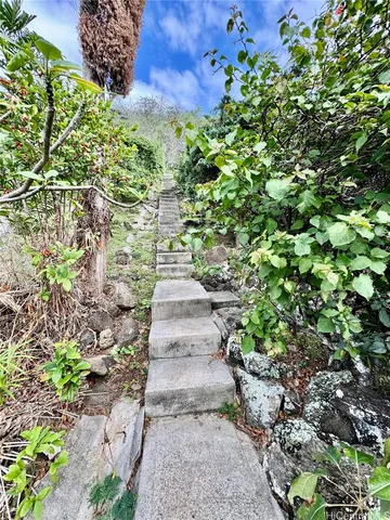 a view of a garden with pathway
