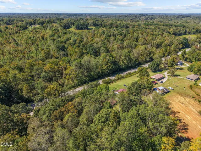 a view of a forest with a street