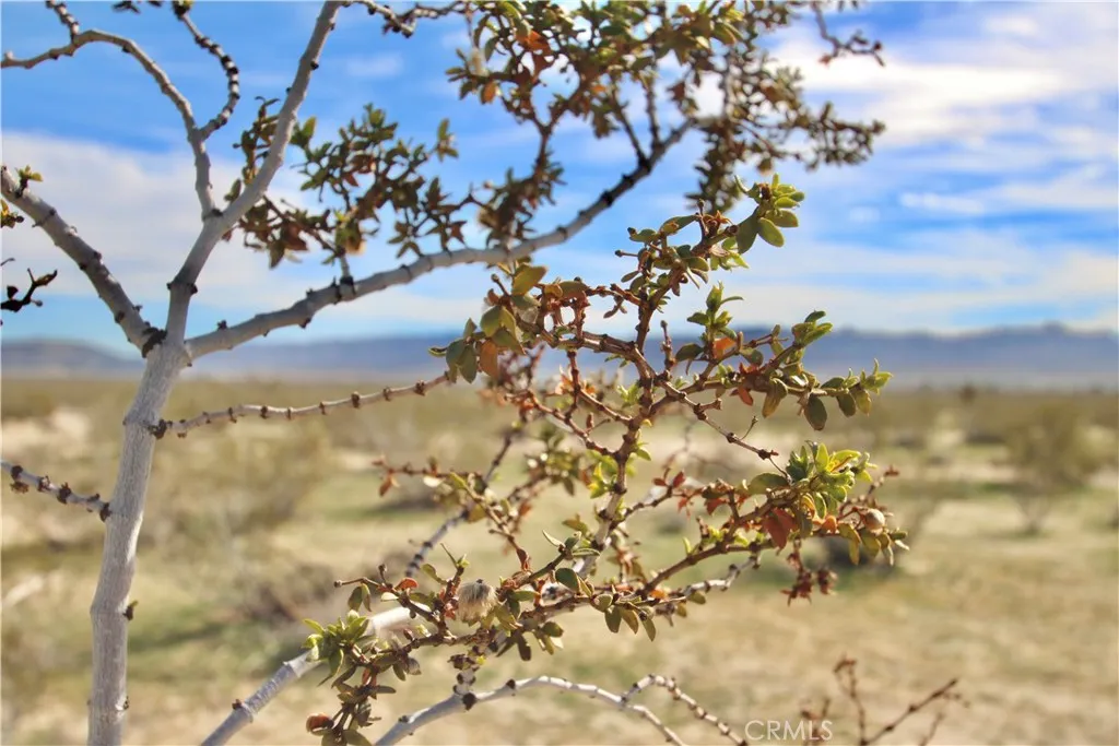 0 Sunflower Road Joshua Tree, CA 92252 - Photo 13 of 13