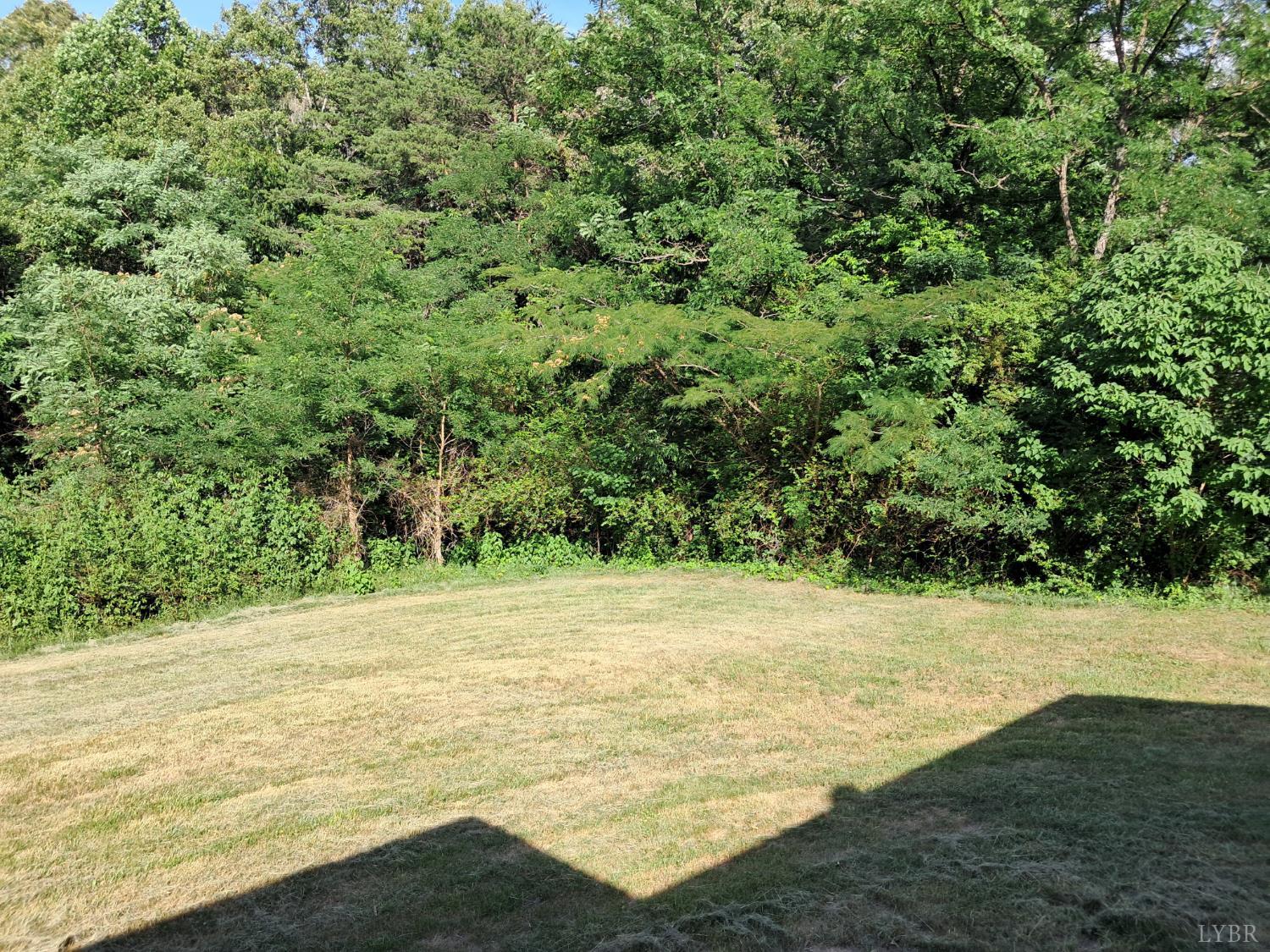 1357 Tardy Mountain Road Altavista, VA 24517 - Photo 33 of 43