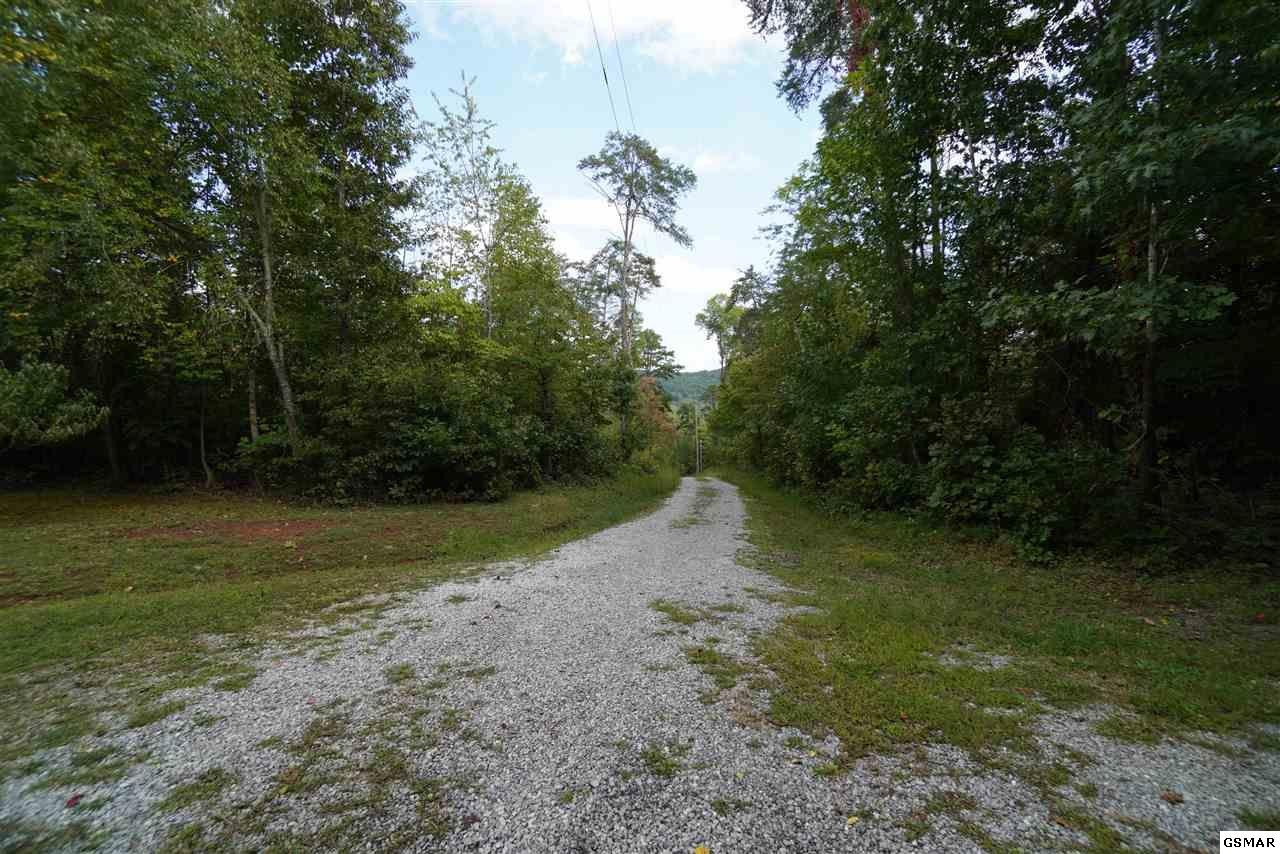 2591 Cochran Road New Market, TN 37820 - Photo 24 of 36 Gallery Image 24