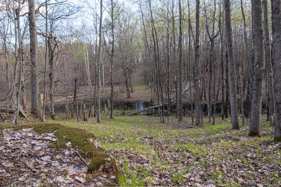 County Road Crivitz, WI 54114 - Photo 10 of 12