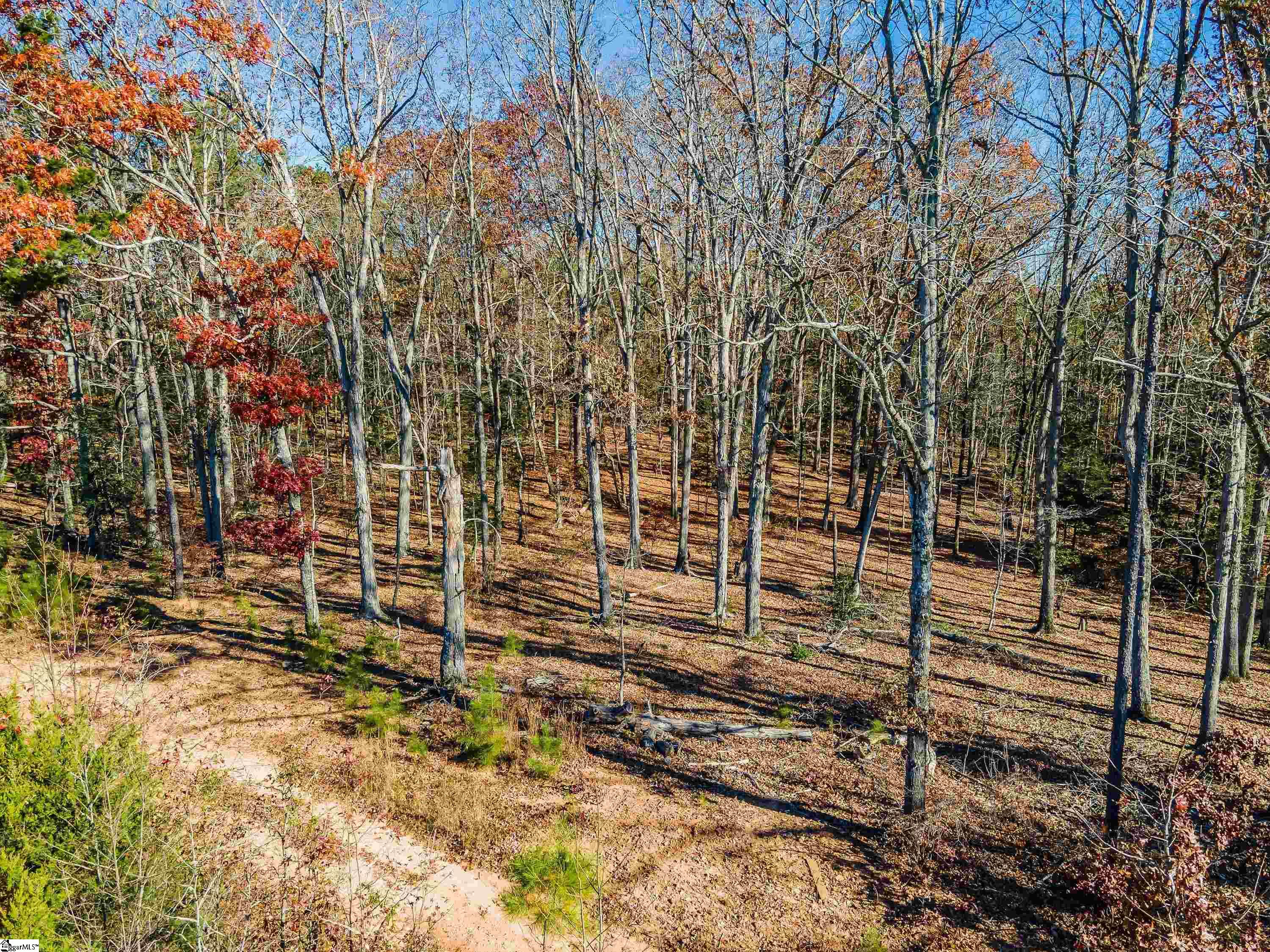 0 Rocky Ridge Road, Unit LOT 3 Woodruff, SC 29388 - Photo 15 of 17