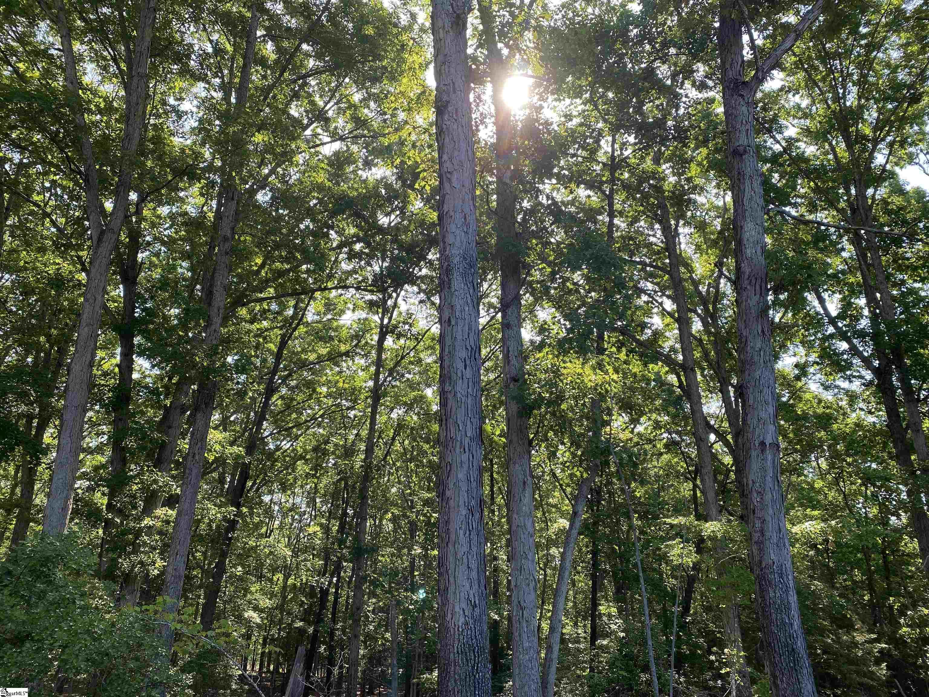 0 Rocky Ridge Road, Unit LOT 3 Woodruff, SC 29388 - Photo 4 of 17