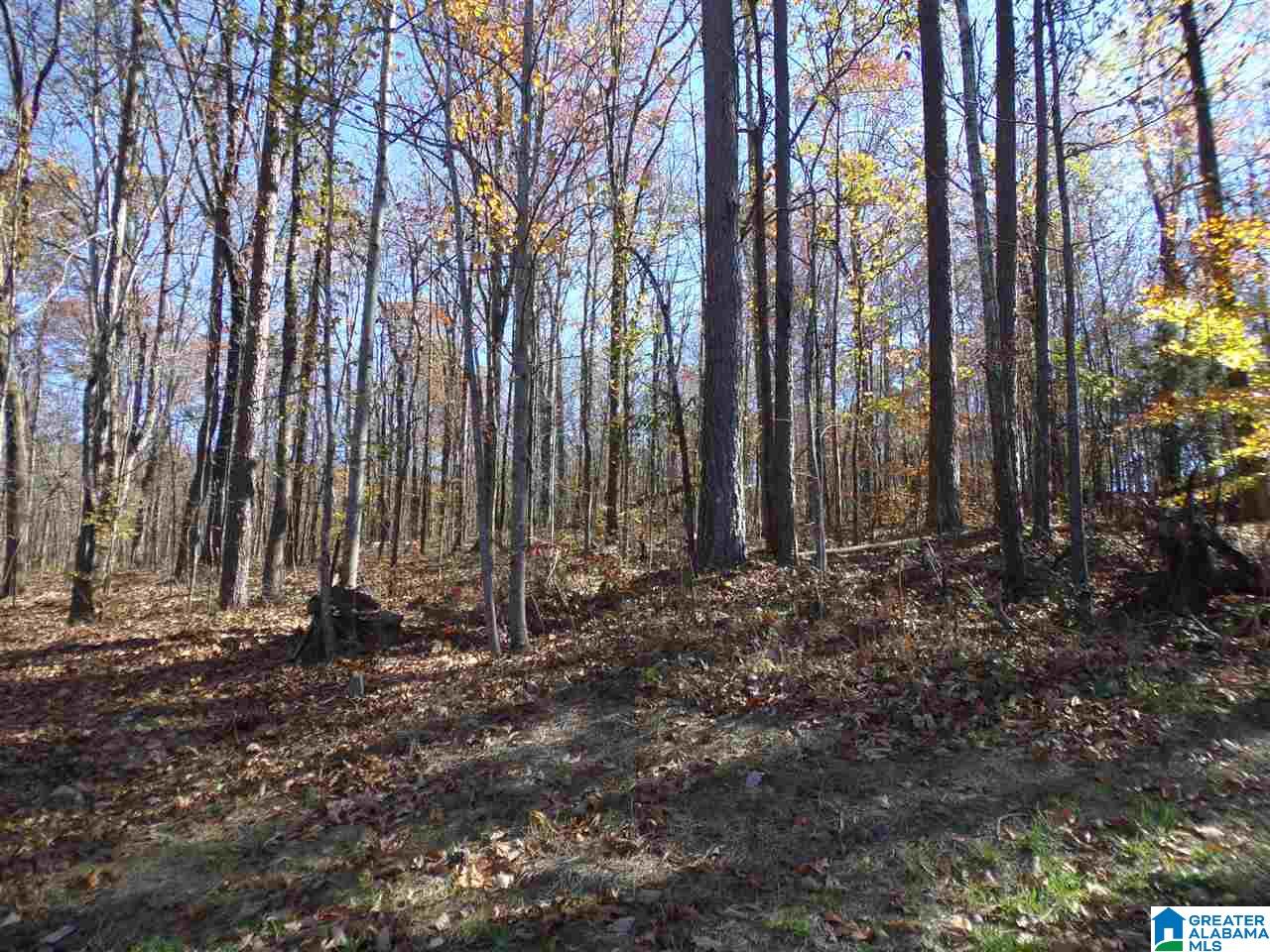 156 Pine Street Oneonta, AL 35121 - Photo 27 of 43