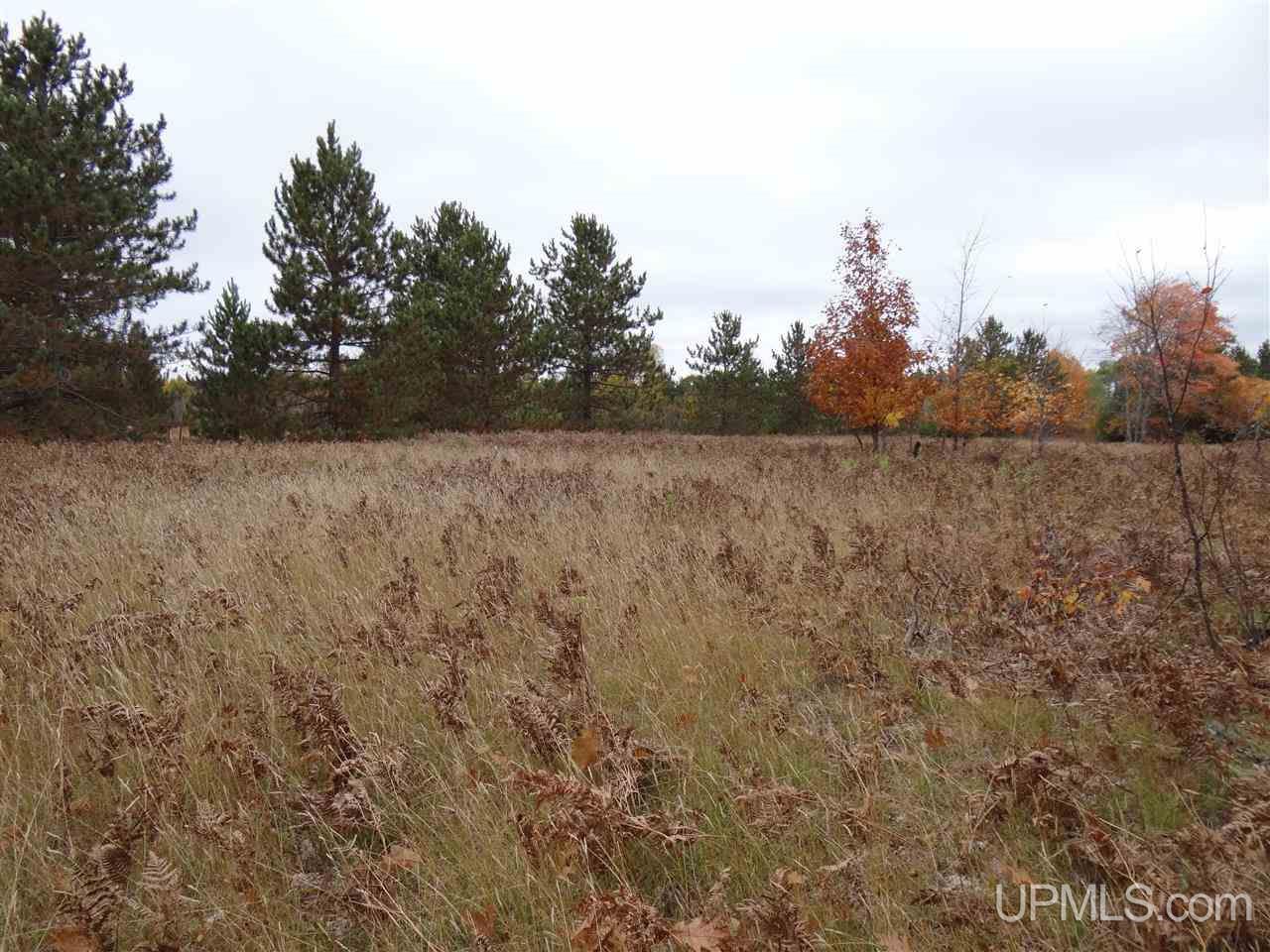 Tbd Traprock Valley Road Calumet, MI 49913 - Photo 6 of 17