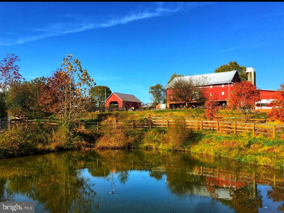 19808 Westerly Avenue Poolesville, MD 20837 - Photo 55 of 64 ....or Poolesville's Rockland Farms!