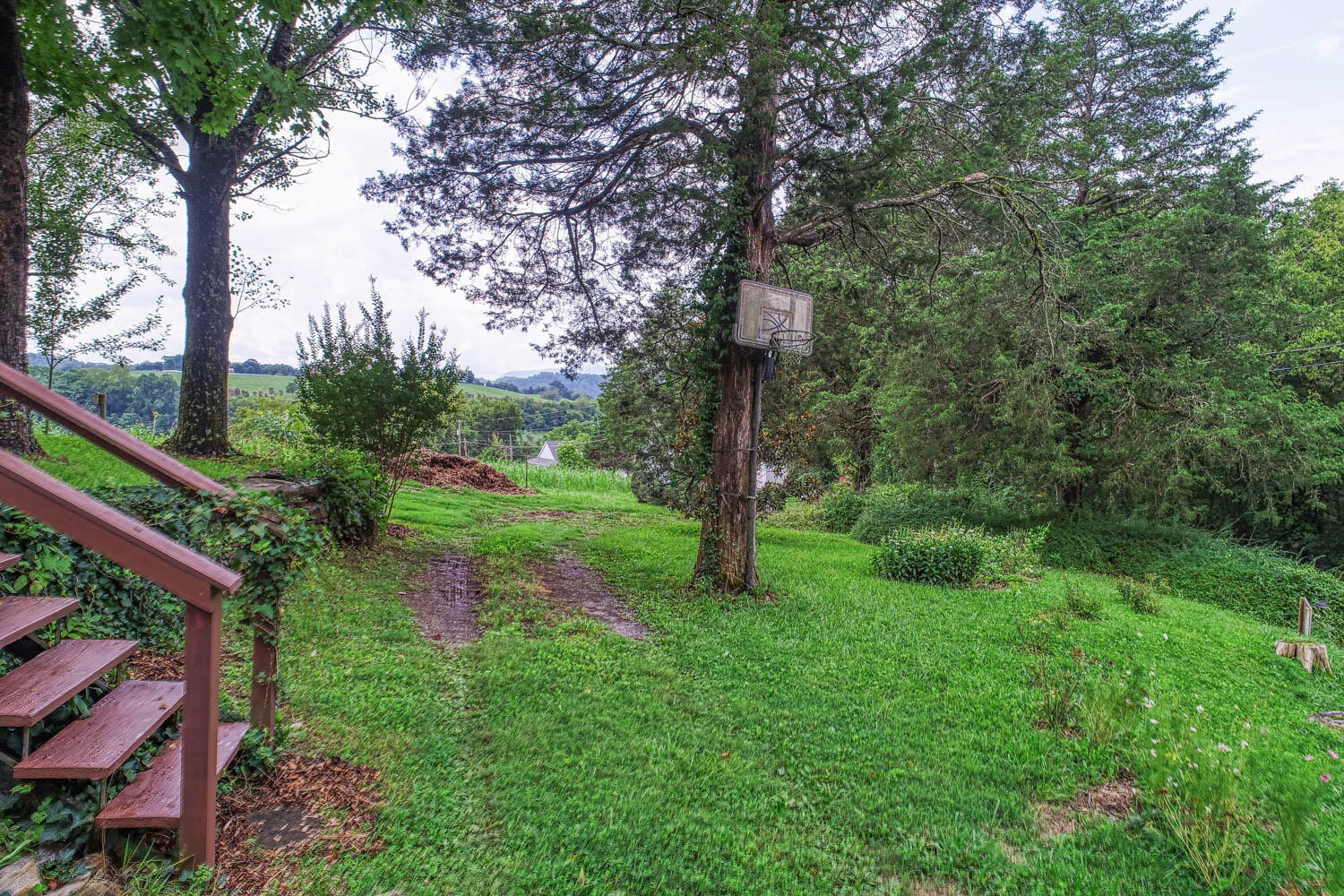 2628 Hodges Ferry Road Kodak, TN 37764 - Photo 77 of 89 Gallery Image 77