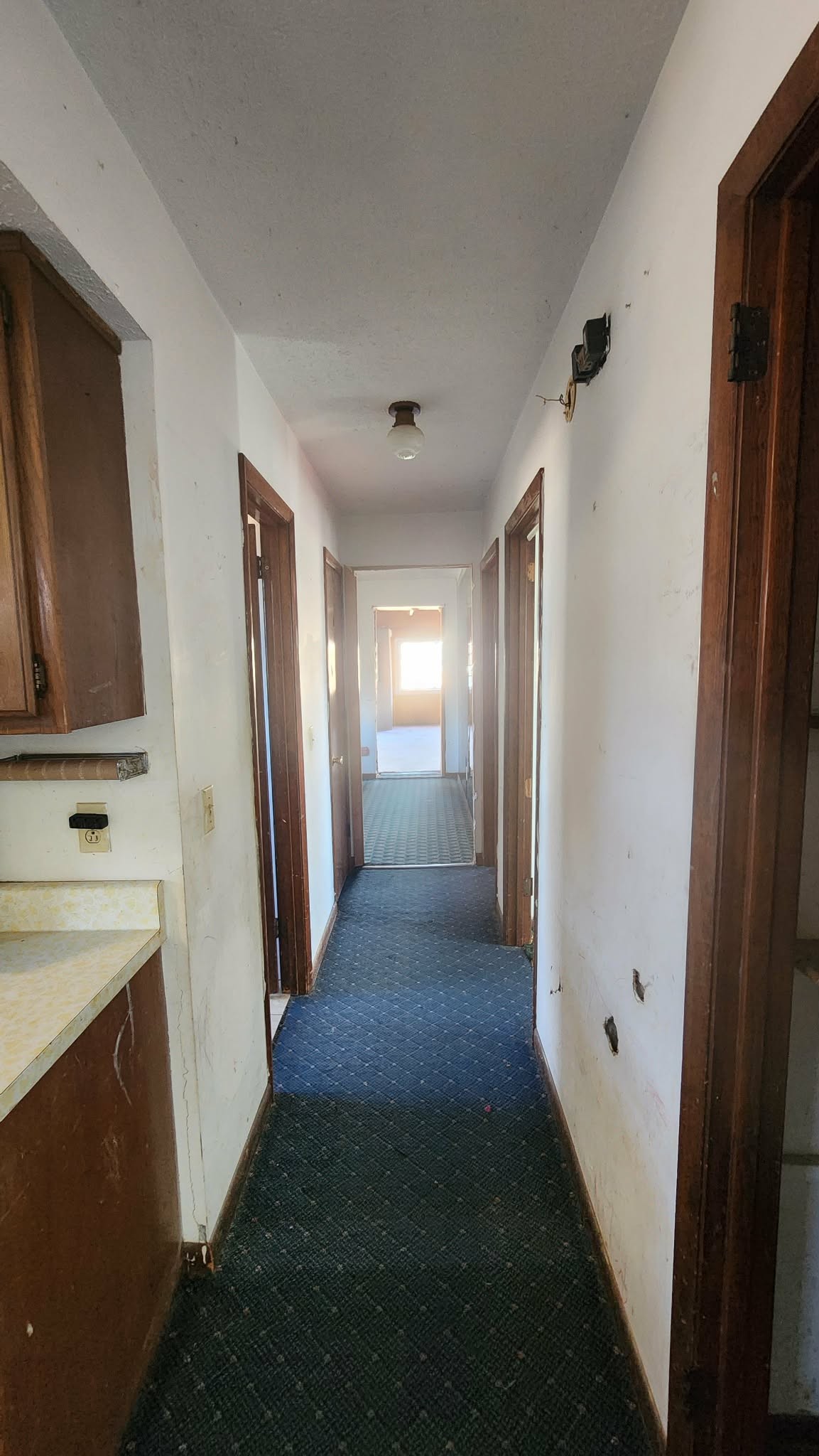 312 Bluebird Lane Dickson, TN 37055 - Photo 3 of 12 a view of hallway with windows