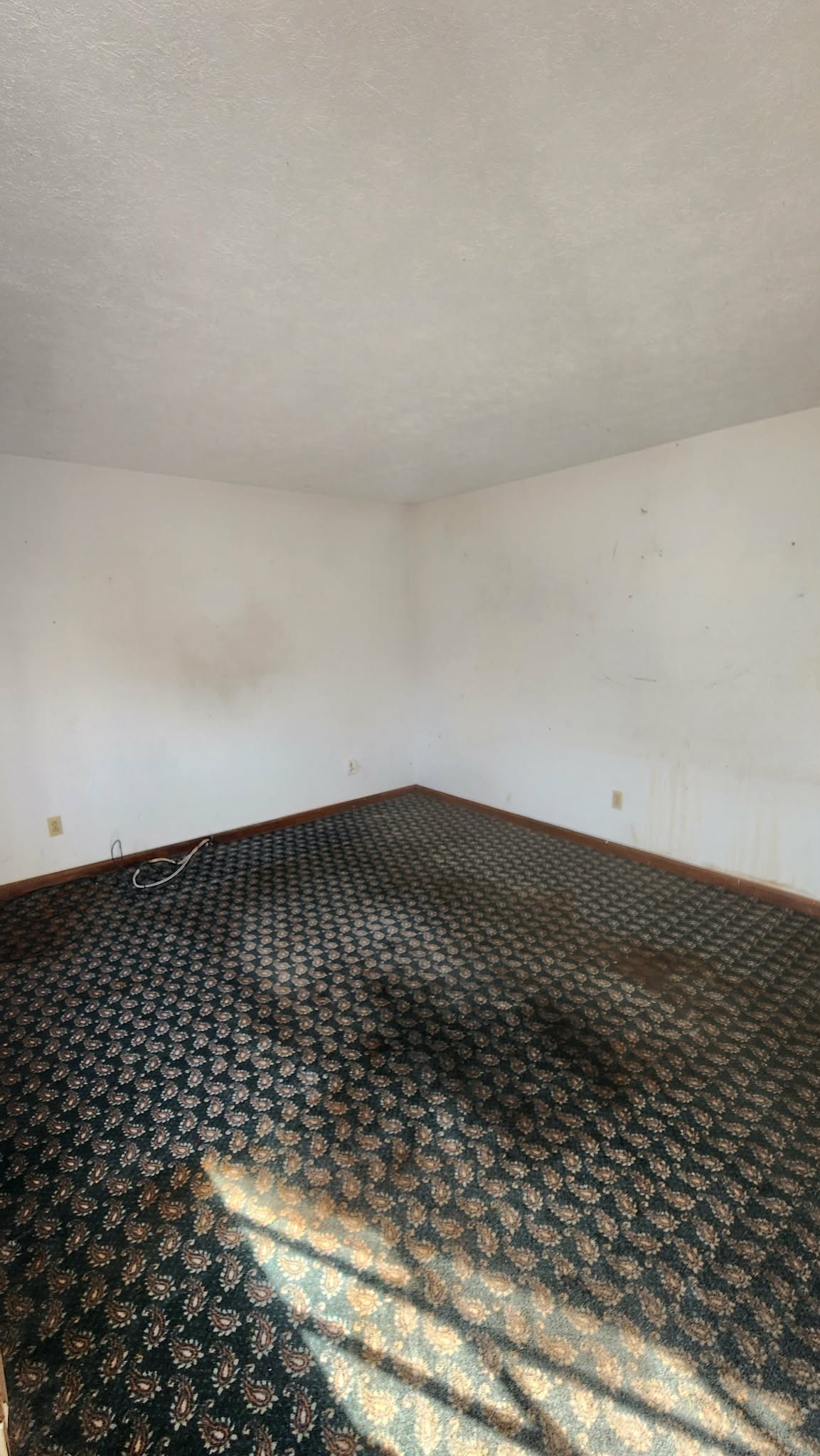 312 Bluebird Lane Dickson, TN 37055 - Photo 8 of 12 a view of wooden floor