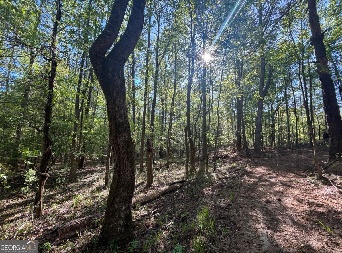 3148 Trammel Bottom Road Hogansville, GA 30230 - Photo 5 of 6