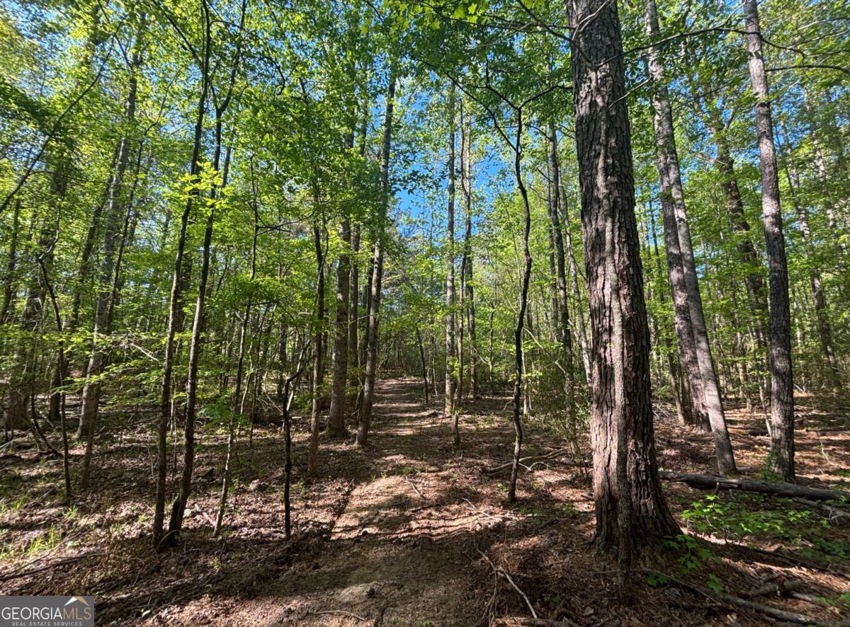 3148 Trammel Bottom Road Hogansville, GA 30230 - Photo 6 of 6