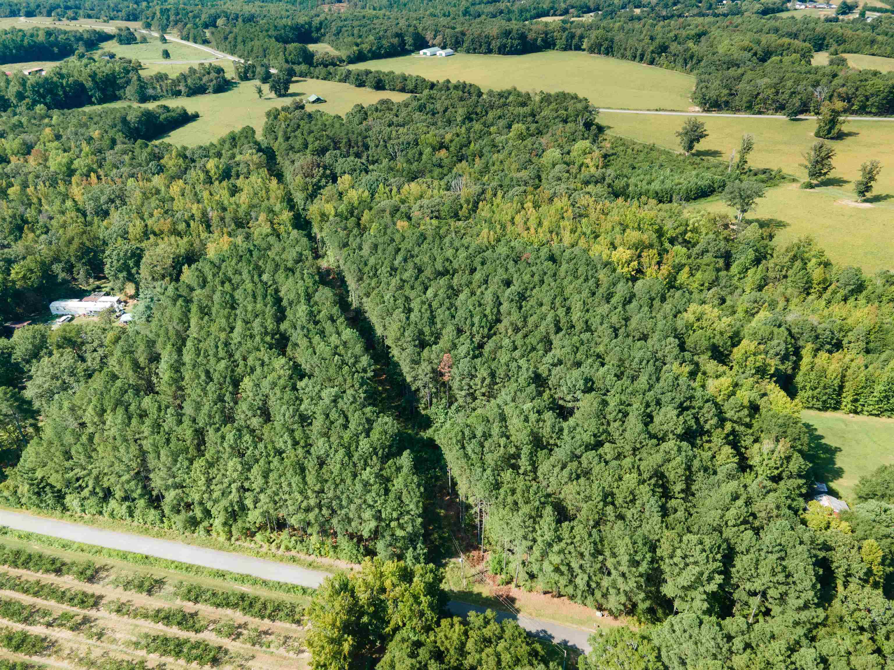 Lot 23 Arrowood Branch Road Chesnee, SC 29323 - Photo 3 of 5