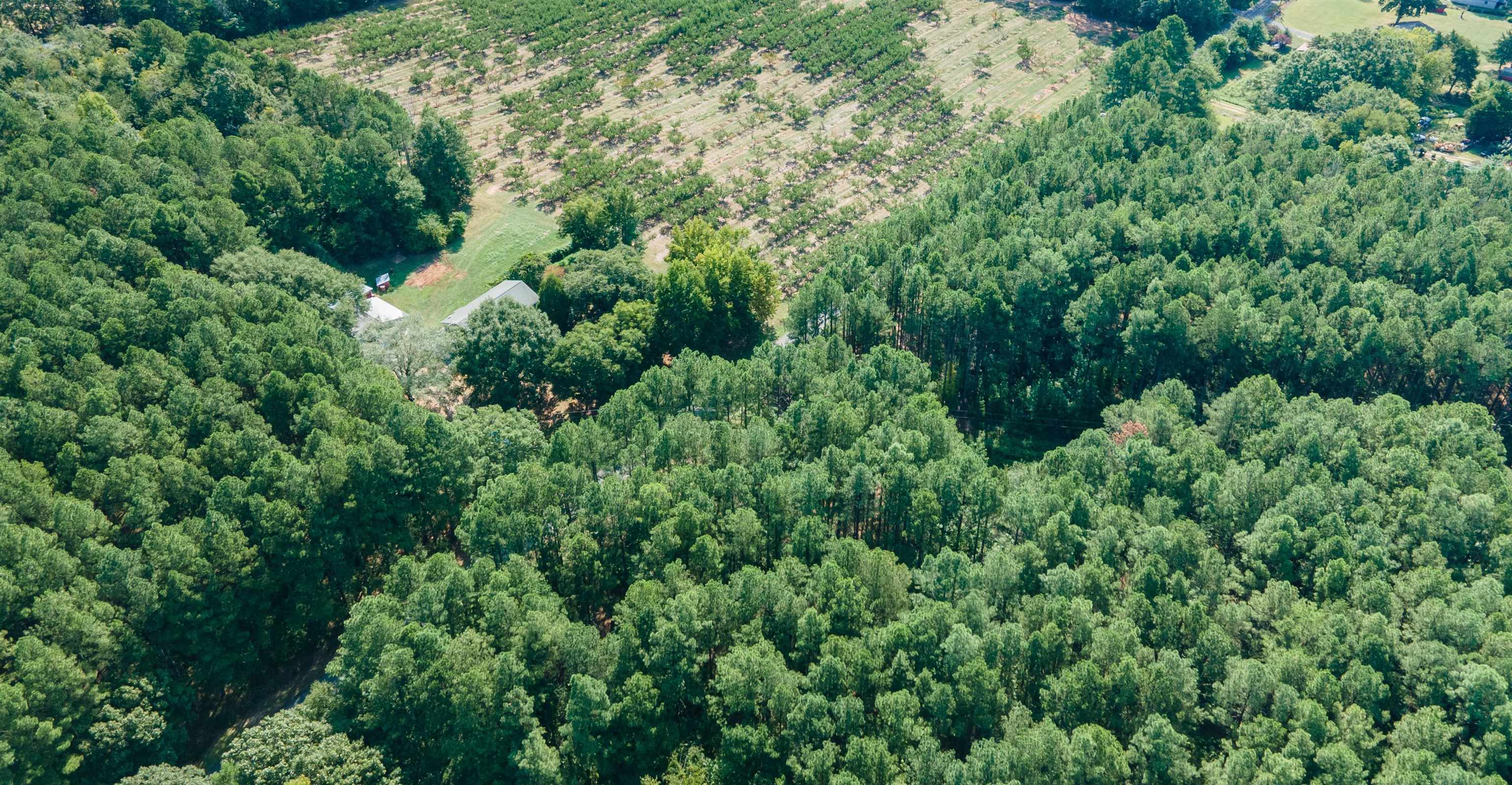 Lot 23 Arrowood Branch Road Chesnee, SC 29323 - Photo 5 of 5