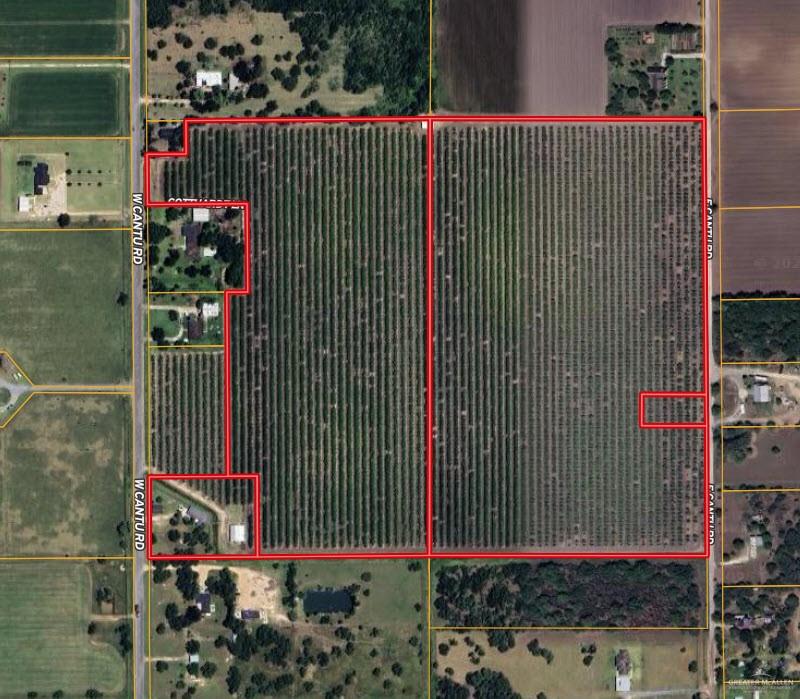 0 East Cantu Road North Santa Rosa, TX 78593 - Photo 2 of 9