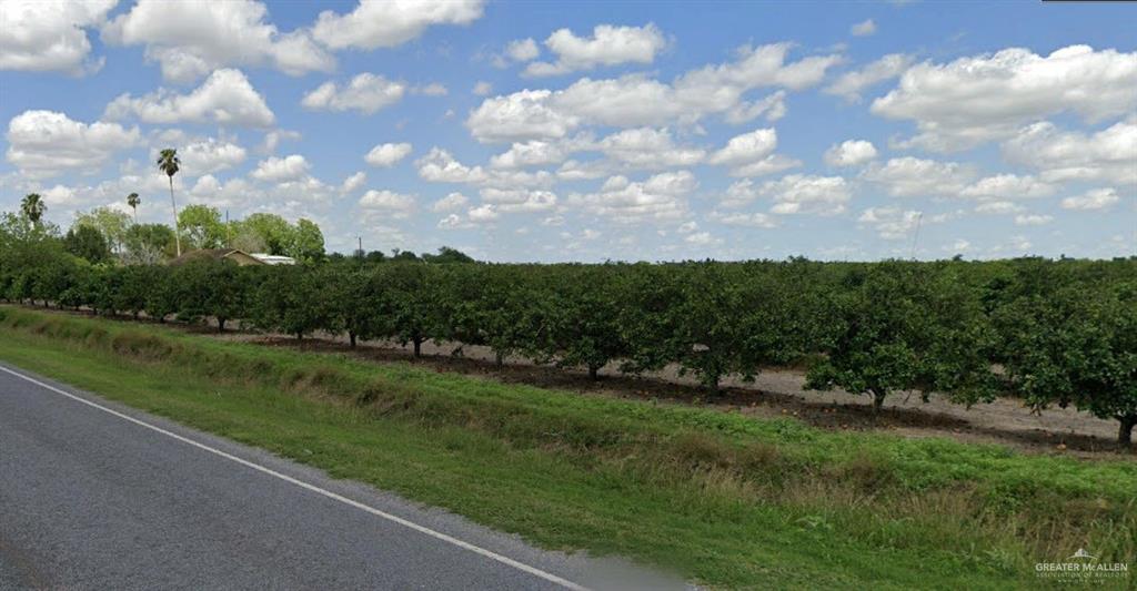 0 East Cantu Road North Santa Rosa, TX 78593 - Photo 3 of 9 a view of a city street and trees