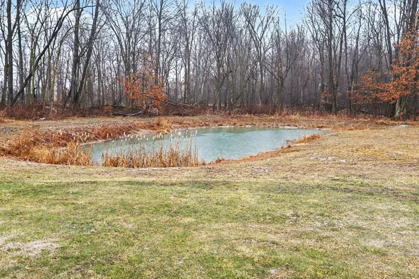 $665,000 | 15068 Mohney Lake Road, Three Rivers, MI 49093
