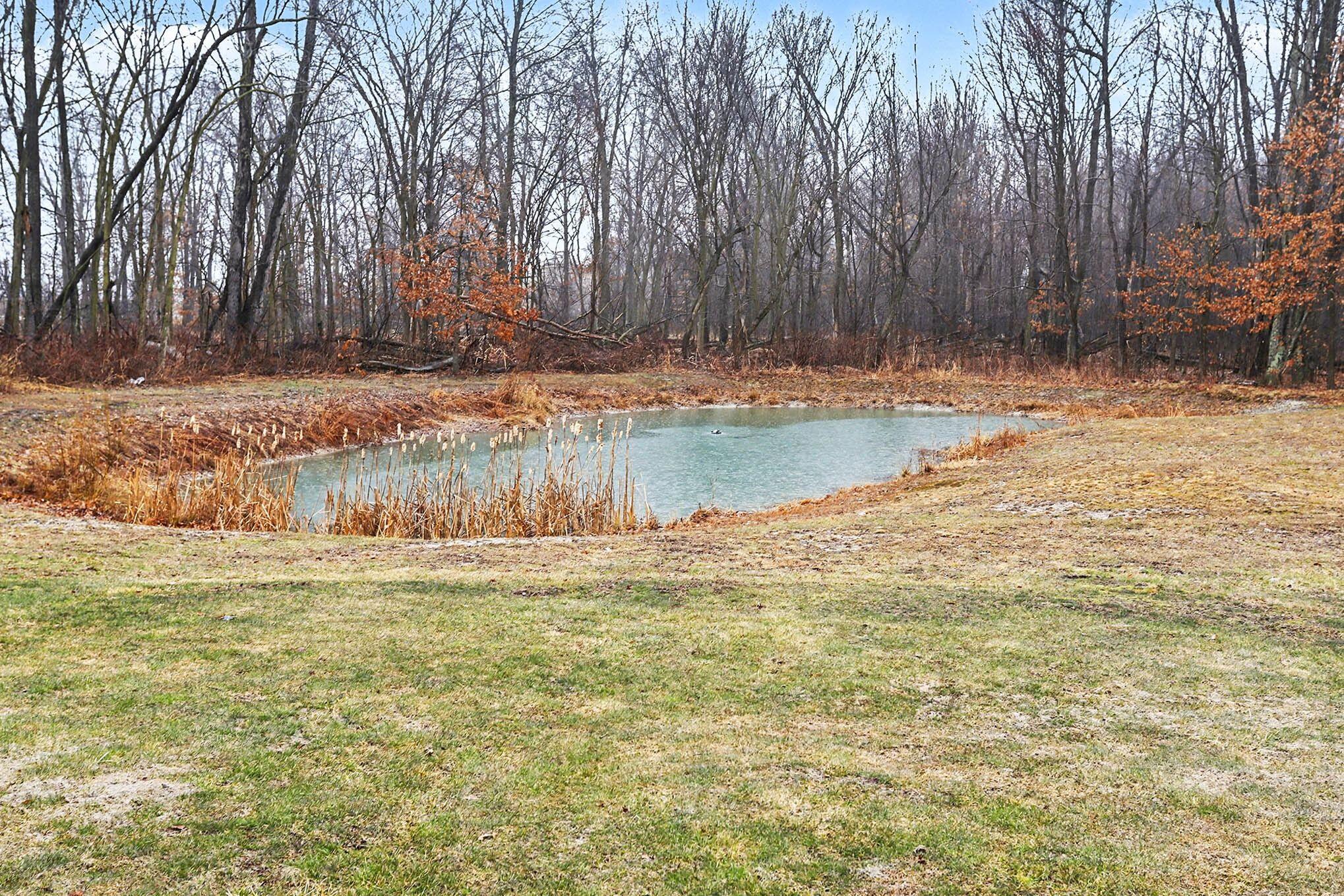 15068 Mohney Lake Road Three Rivers, MI 49093 - Photo 23 of 29 021_file_4917