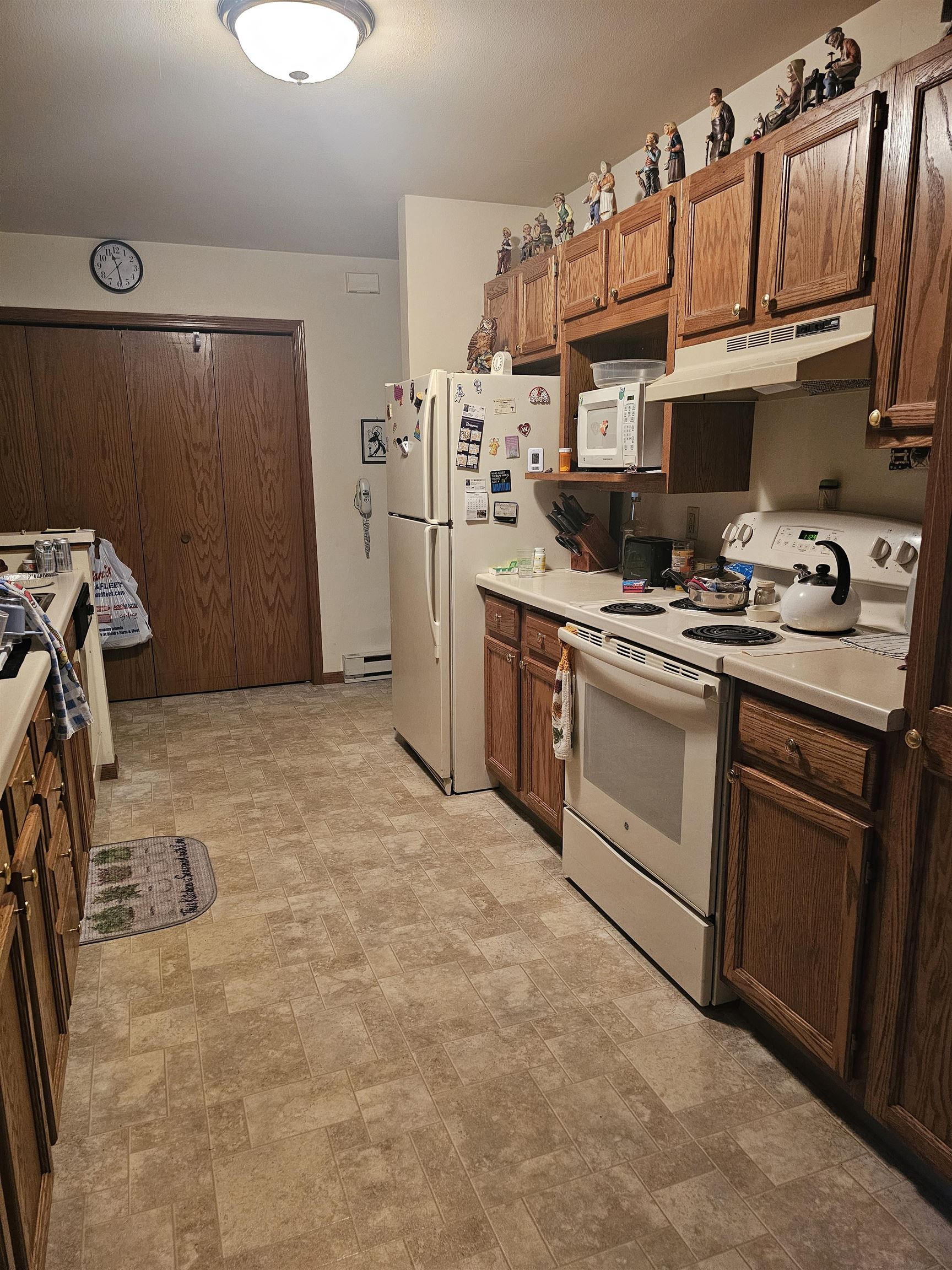 251-255 Goehl Road Waterloo, WI 53594 - Photo 5 of 10