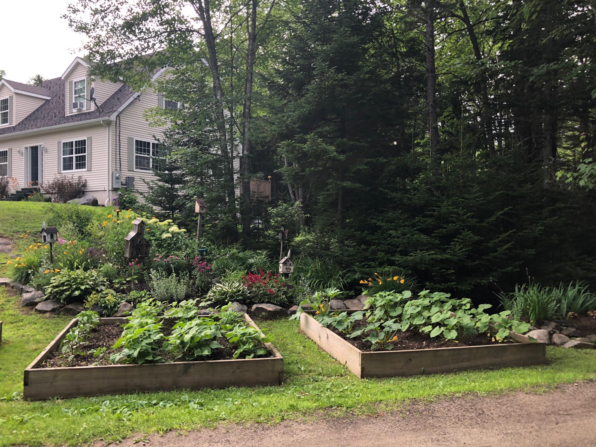 12 Carlson Lane St. George, ME 04860 - Photo 4 of 57 IMG_5057