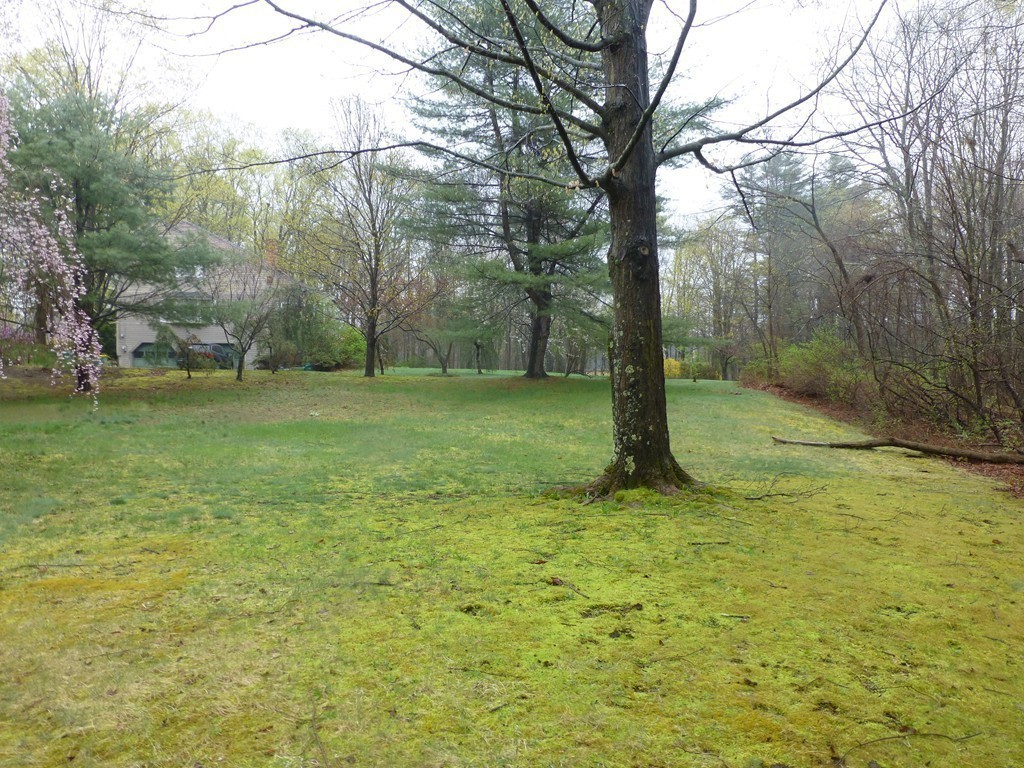 38 Whitney Road Stow, MA 01775 - Photo 24 of 25