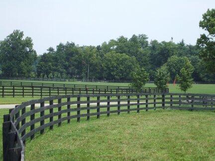 3006 Bryan Station Road Lexington, KY 40516 - Photo 12 of 18 mls12