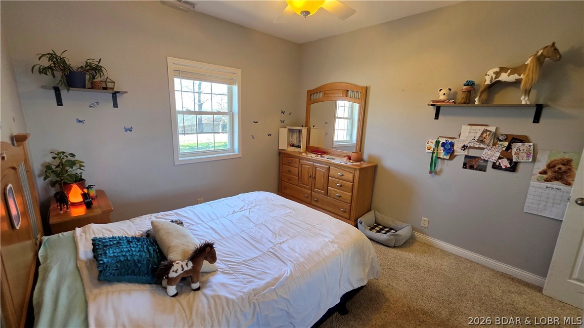 30643 Magnolia Road Gravois Mills, MO 65037 - Photo 24 of 58