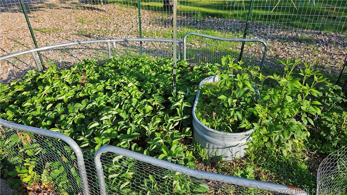 30643 Magnolia Road Gravois Mills, MO 65037 - Photo 47 of 58 Strawberries