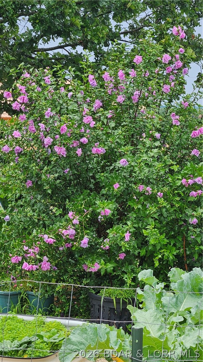 30643 Magnolia Road Gravois Mills, MO 65037 - Photo 49 of 58