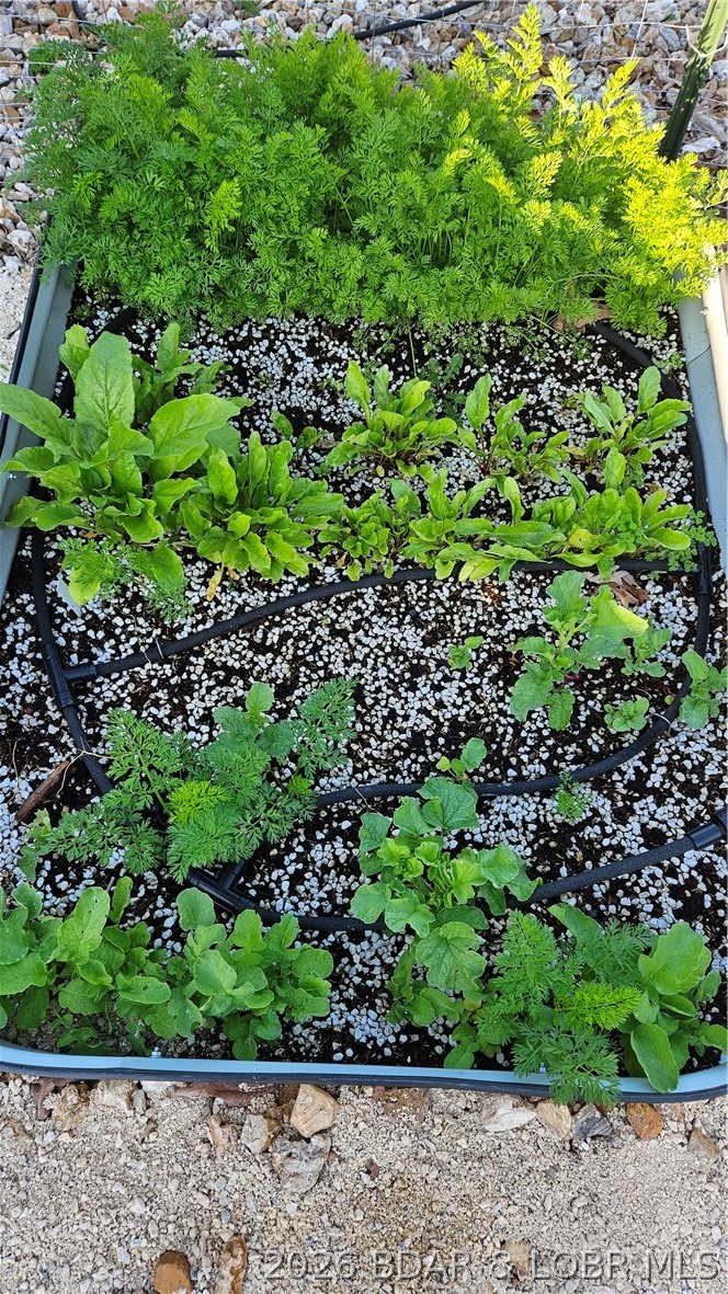 30643 Magnolia Road Gravois Mills, MO 65037 - Photo 50 of 58