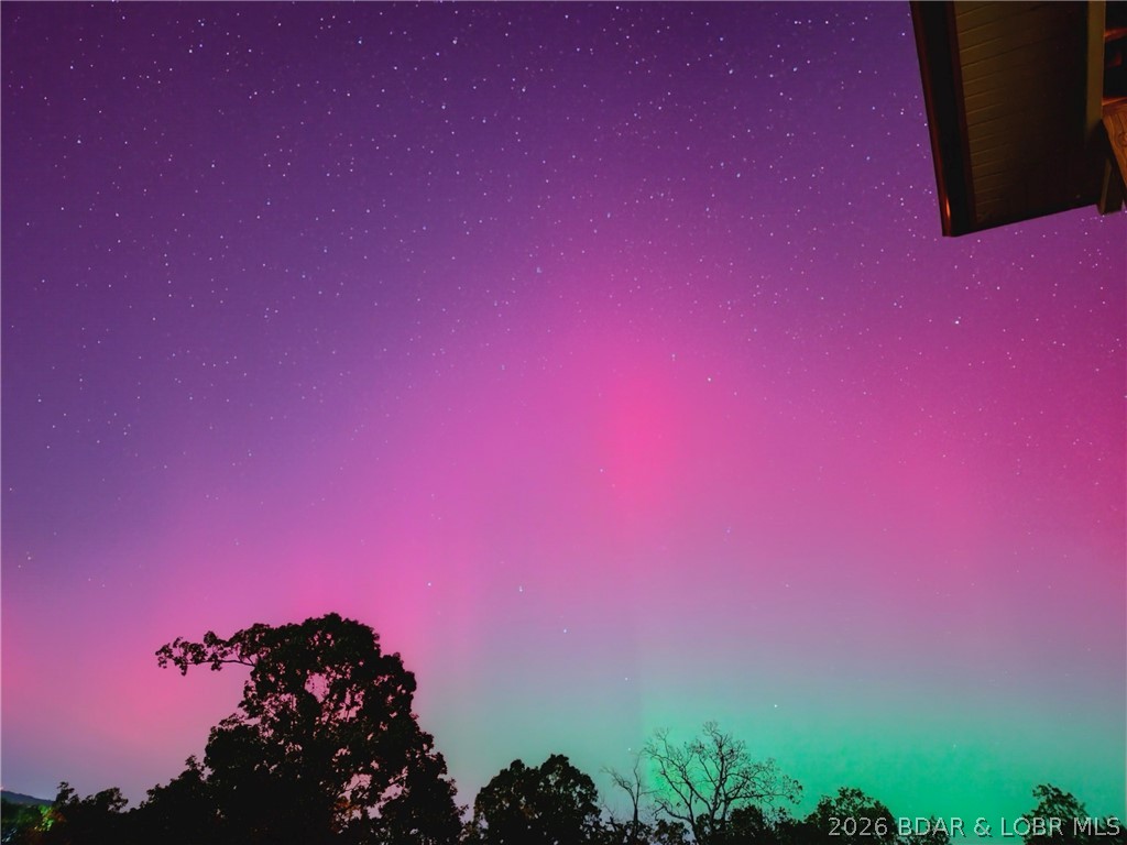 30643 Magnolia Road Gravois Mills, MO 65037 - Photo 55 of 58