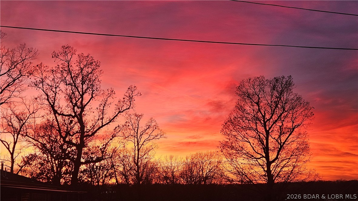 30643 Magnolia Road Gravois Mills, MO 65037 - Photo 56 of 58