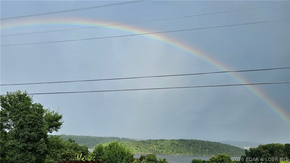 30643 Magnolia Road Gravois Mills, MO 65037 - Photo 58 of 58